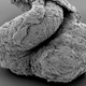 Image for article titled High Doses of Antioxidants Can Mutate Your Stem Cells